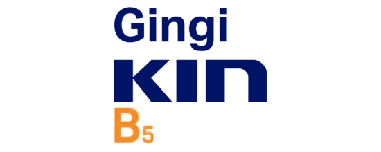 GINGIKIN B5